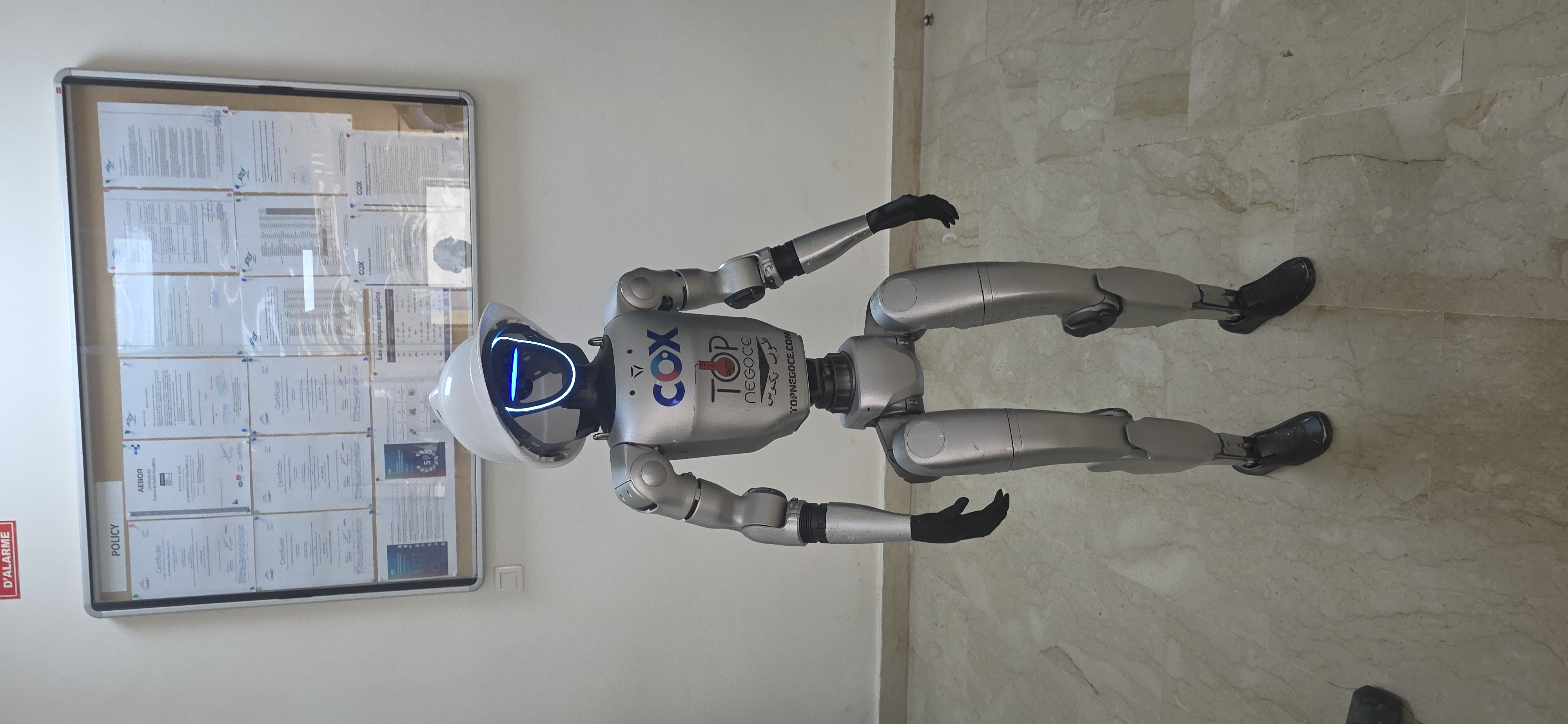 AYA Robotics at COX Desalination Station